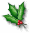 holly